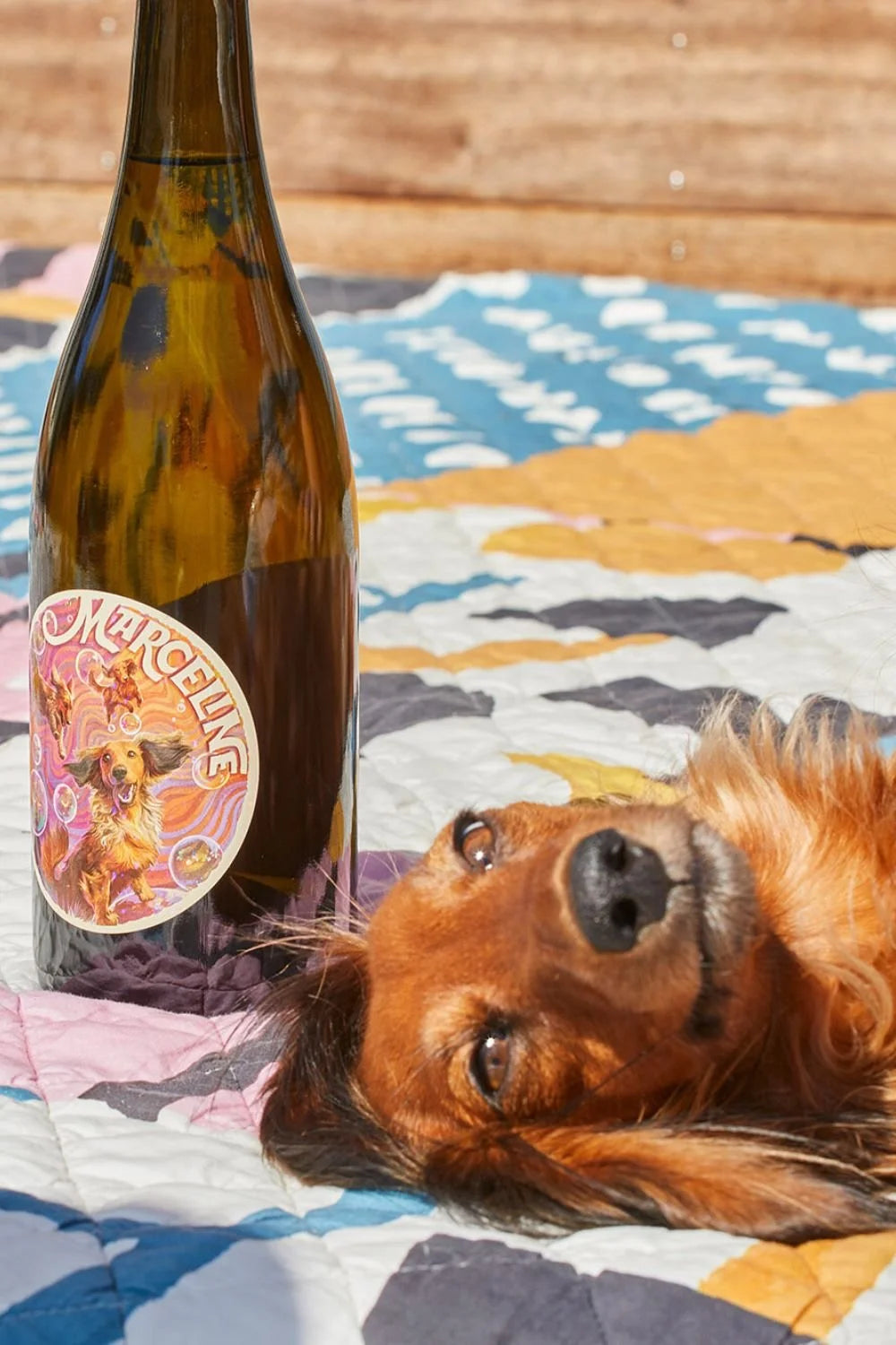 Swift Marceline sparkling wine on a picnic blanket with a dog